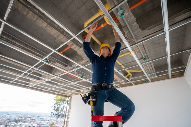 Best Plumbing Inspection Services  in Margate, FL